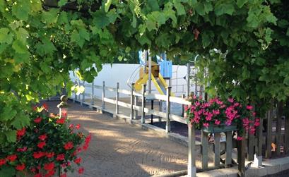 Camping les tulipes