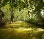 Camping les tulipes