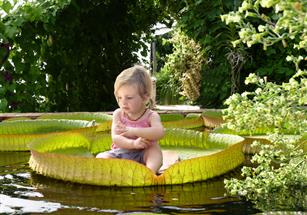 Camping les tulipes