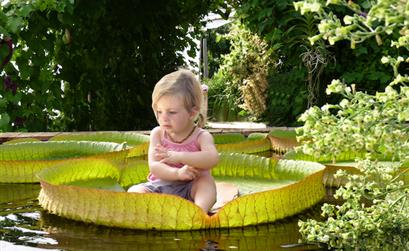 Camping les tulipes