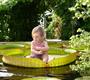 Camping les tulipes
