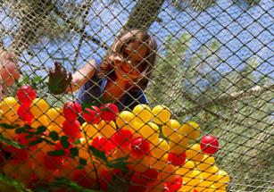 Camping les tulipes