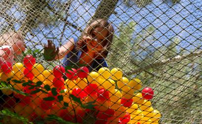 Camping les tulipes